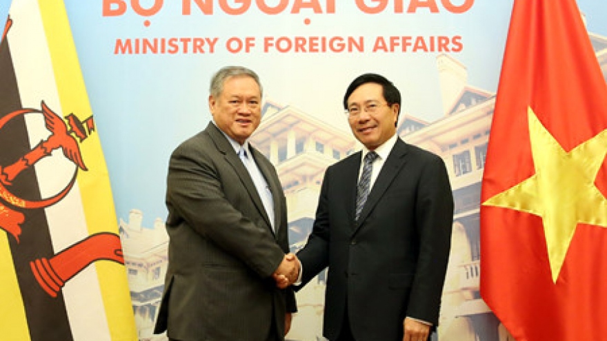 Vietnam, Brunei hold joint commission first meeting