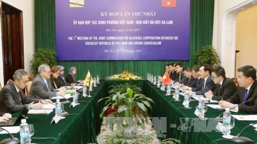 Vietnam-Brunei joint commission’s meeting hailed