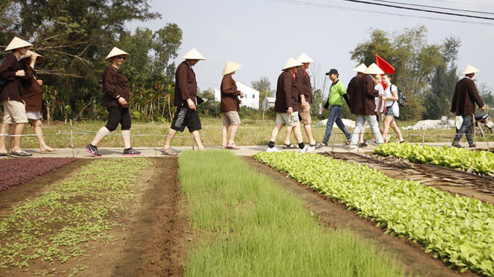 Cau Bong Festival in Tra Que village
