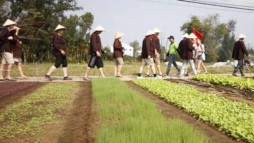 Cau Bong Festival in Tra Que village 
