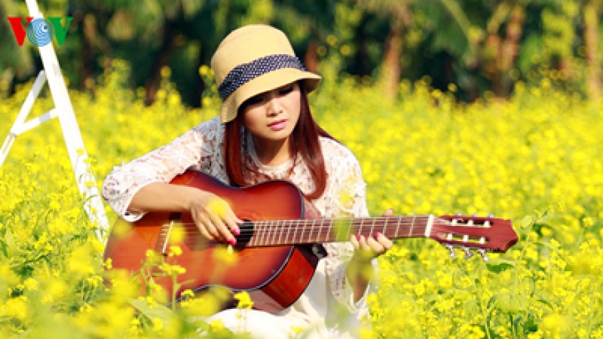 Hanoi girls enjoy the romance of yellow flowers