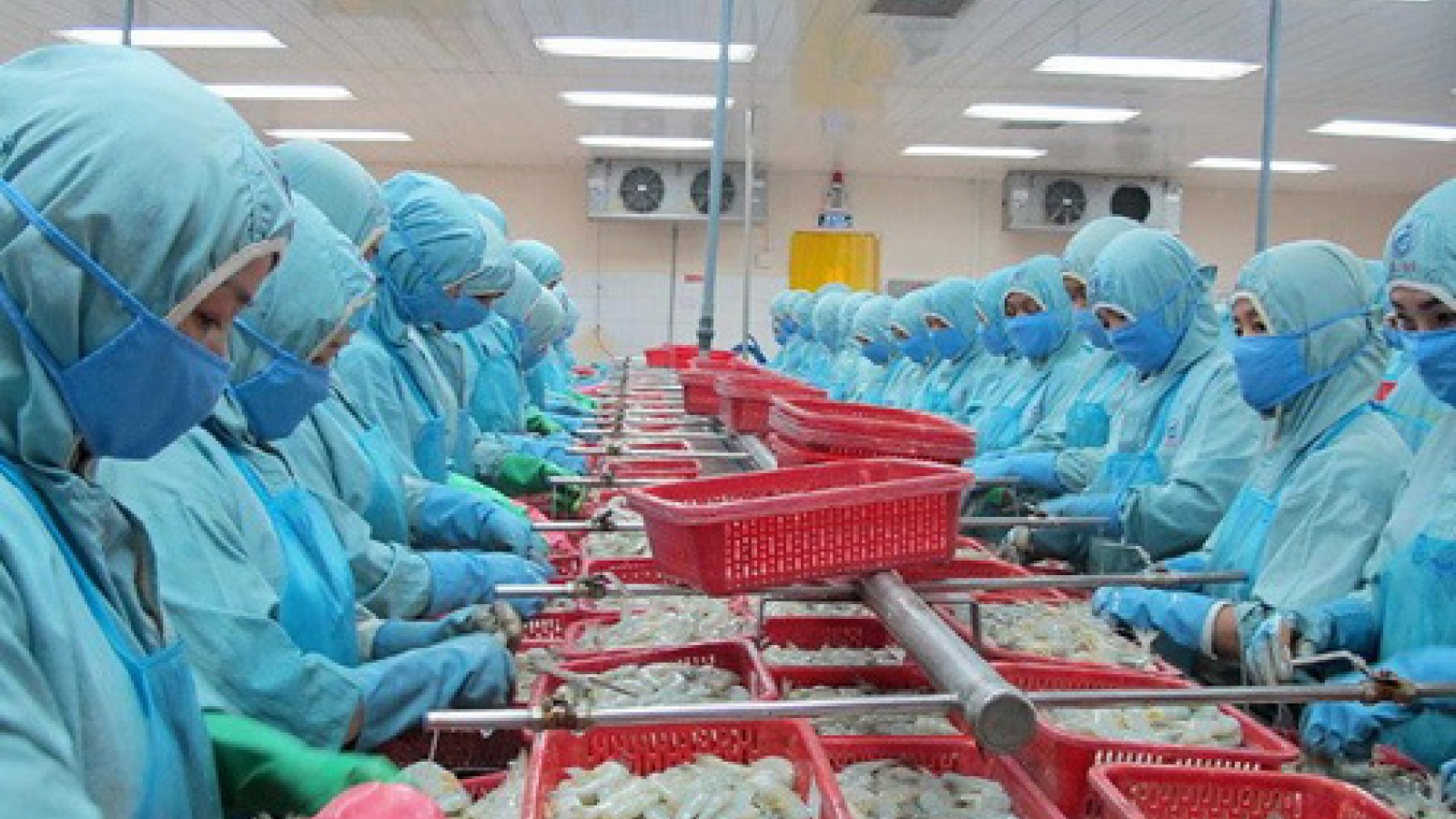 Can Tho achieves US$616 trade surplus in 9 months