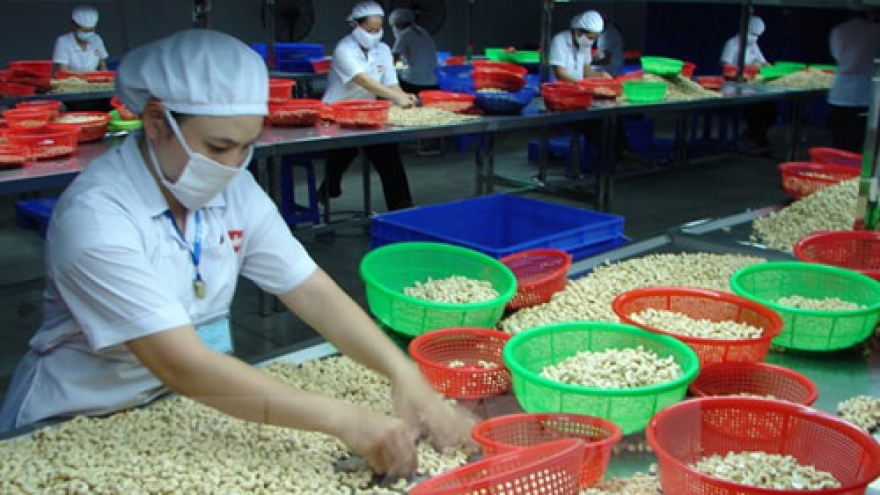 Nigeria urges greater care in transport of cashews