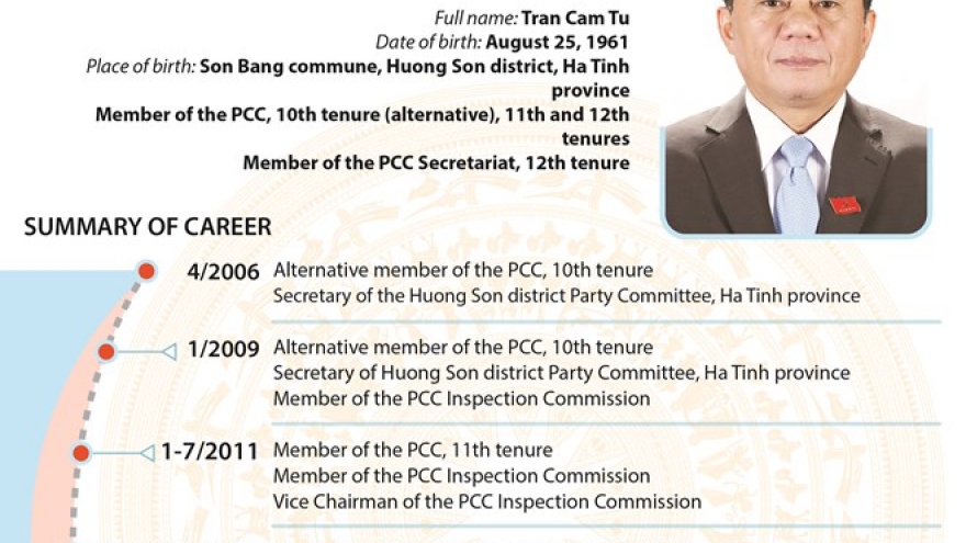 Member of 12th Party Central Committee Secretariat Tran Cam Tu