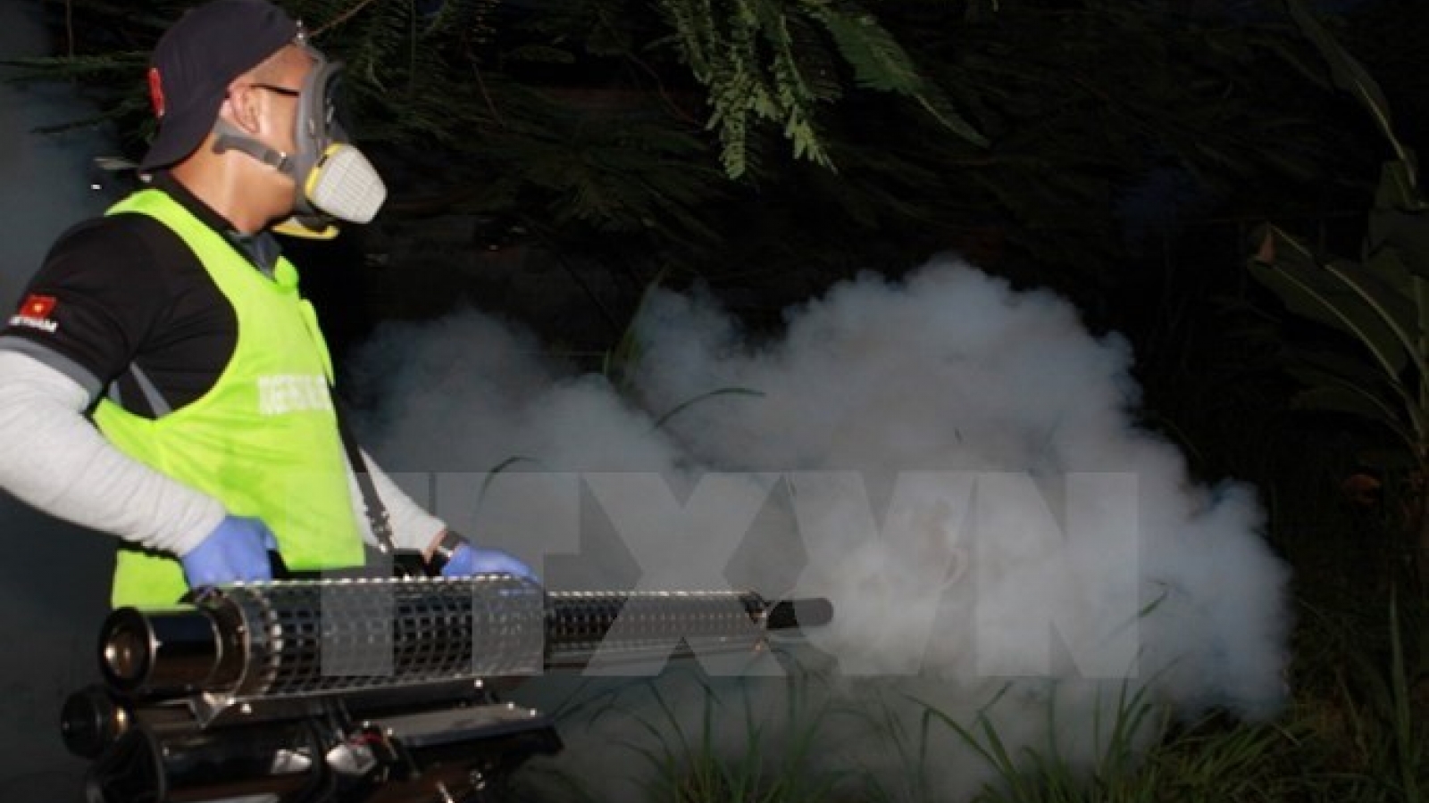 Dong Nai records one more Zika virus case