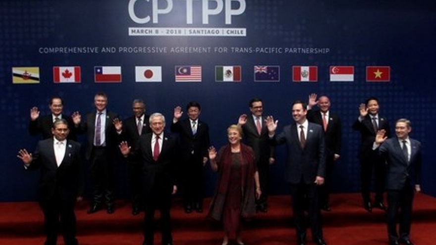 CP TPP expected to boost Vietnam-Chile economic ties