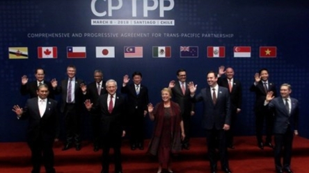 CP TPP expected to boost Vietnam-Chile economic ties