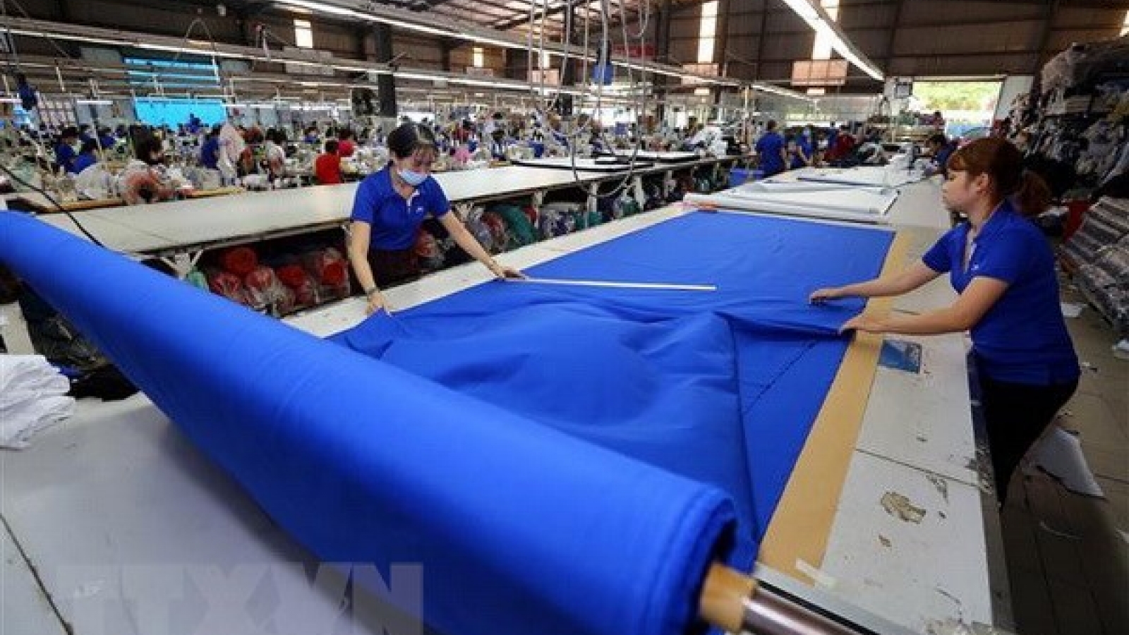 CPTPP to be effective in Vietnam from January 14