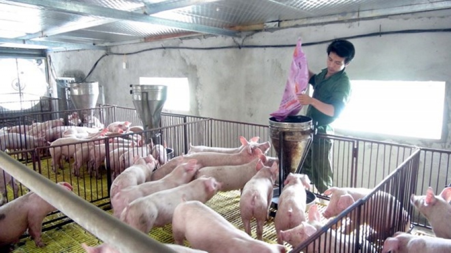 CPTPP to bring both opportunities, challenges to breeding sector