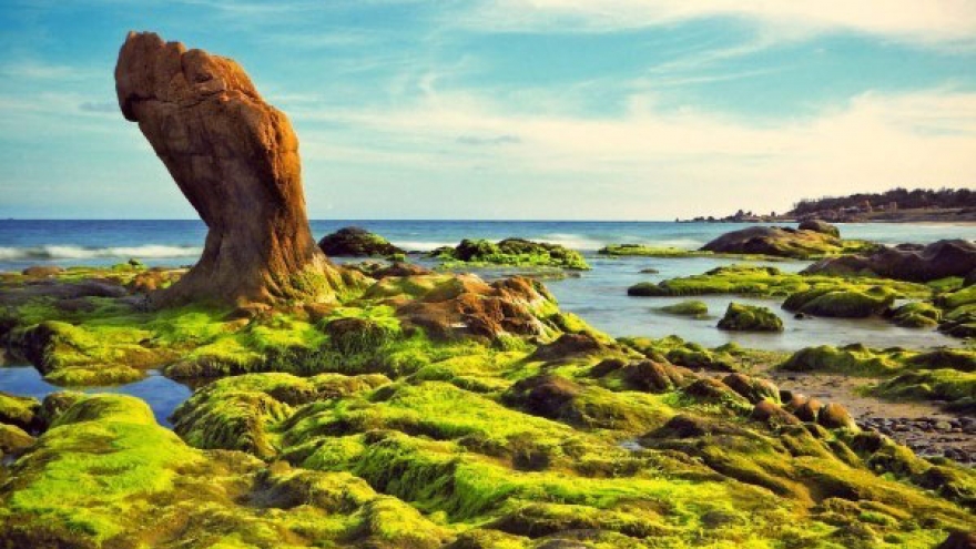 Unique photos on Vietnam’s landscapes