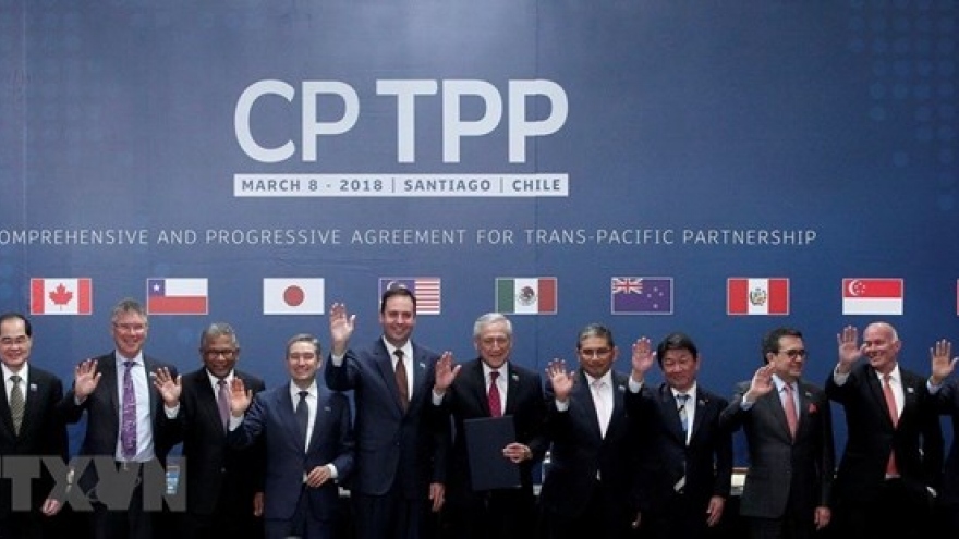 Action programme needed to fully tap CPTPP: experts