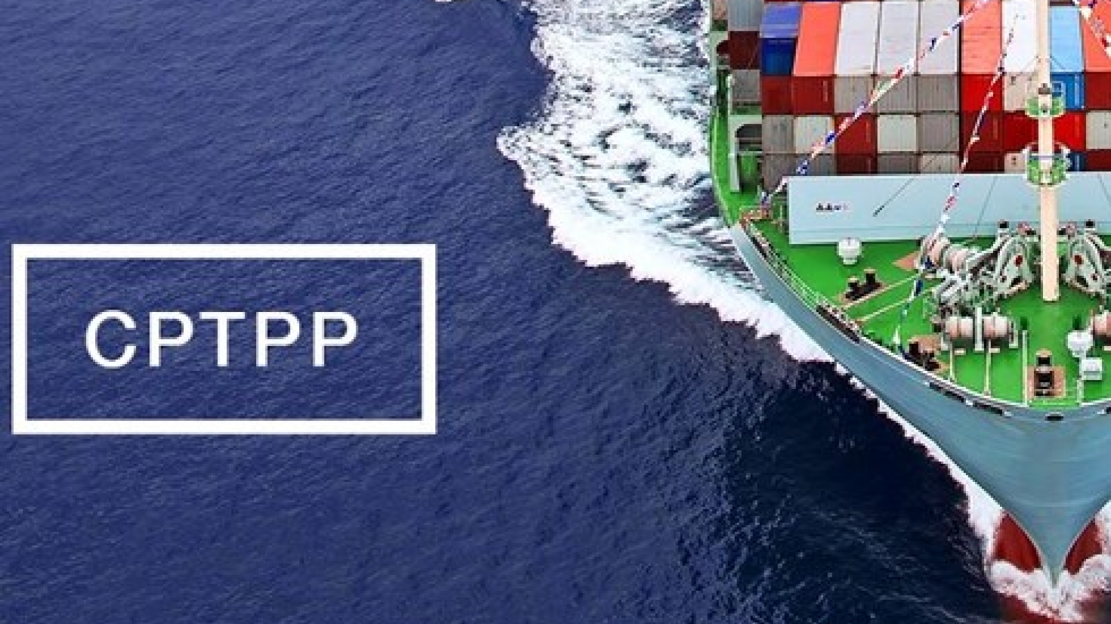 Vietnam needs to capitalize on CPTPP agreement