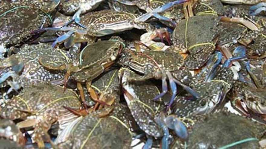 VASEP: Crab exports to Japan slowing down