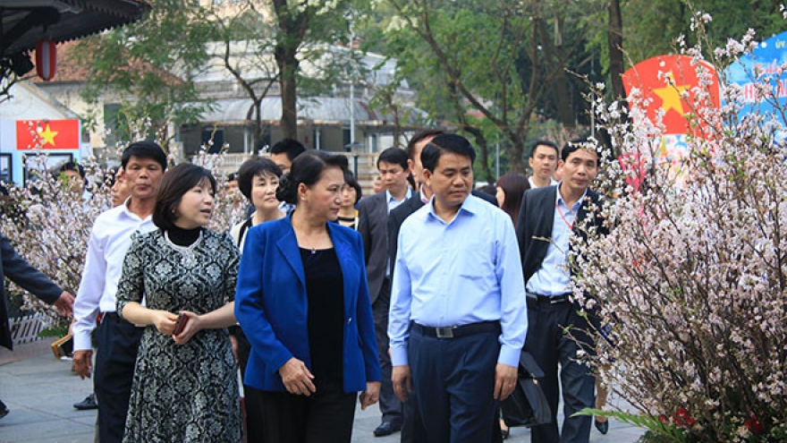 NA leader enjoys cherry blossom in Hanoi