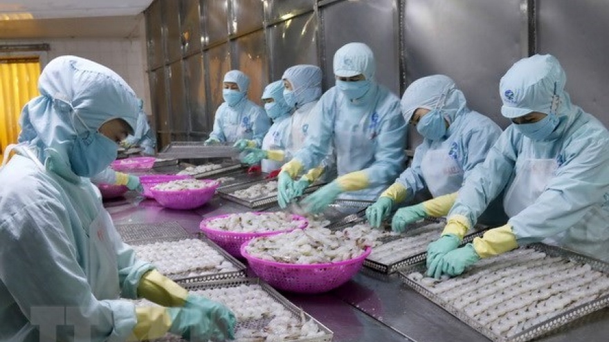Ca Mau: Exports up 4.8%, mostly seafood