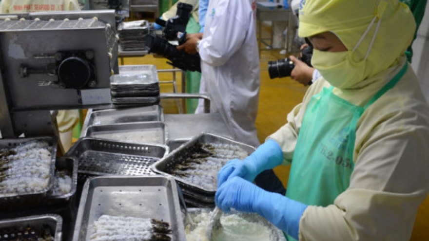 Ca Mau's shrimp exports hit more than US$750 million