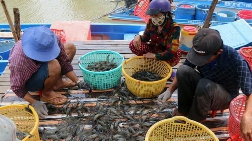 Ca Mau looks to earn 1.2 bln USD from aquatic exports