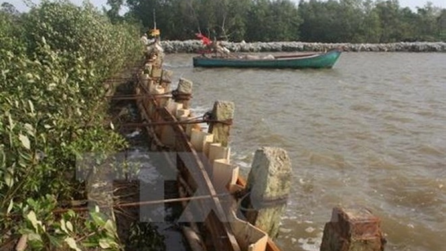Nearly US$2.6 million for sea embankment projects in Ca Mau