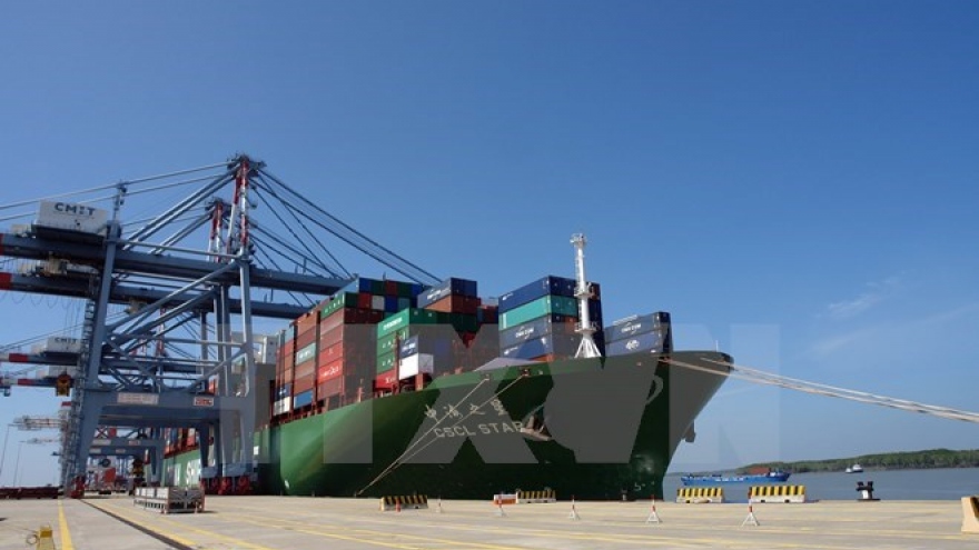 Southern Cai Mep port receives super freighter