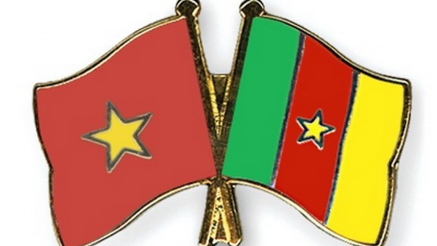 Vietnam bolsters partnership with Cameroon