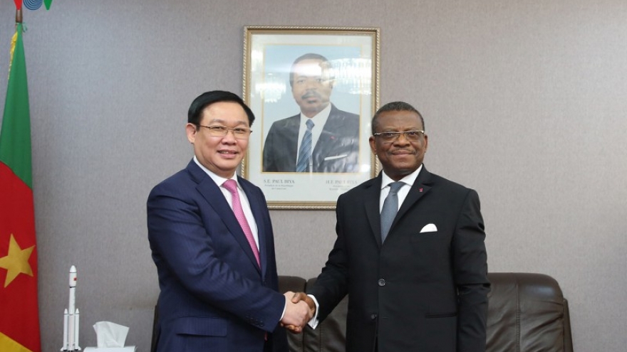 Vietnam keen to bolster all-around cooperation with Cameroon