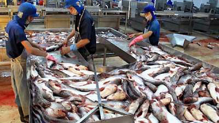 Mekong Delta city boosts rice and seafood exports