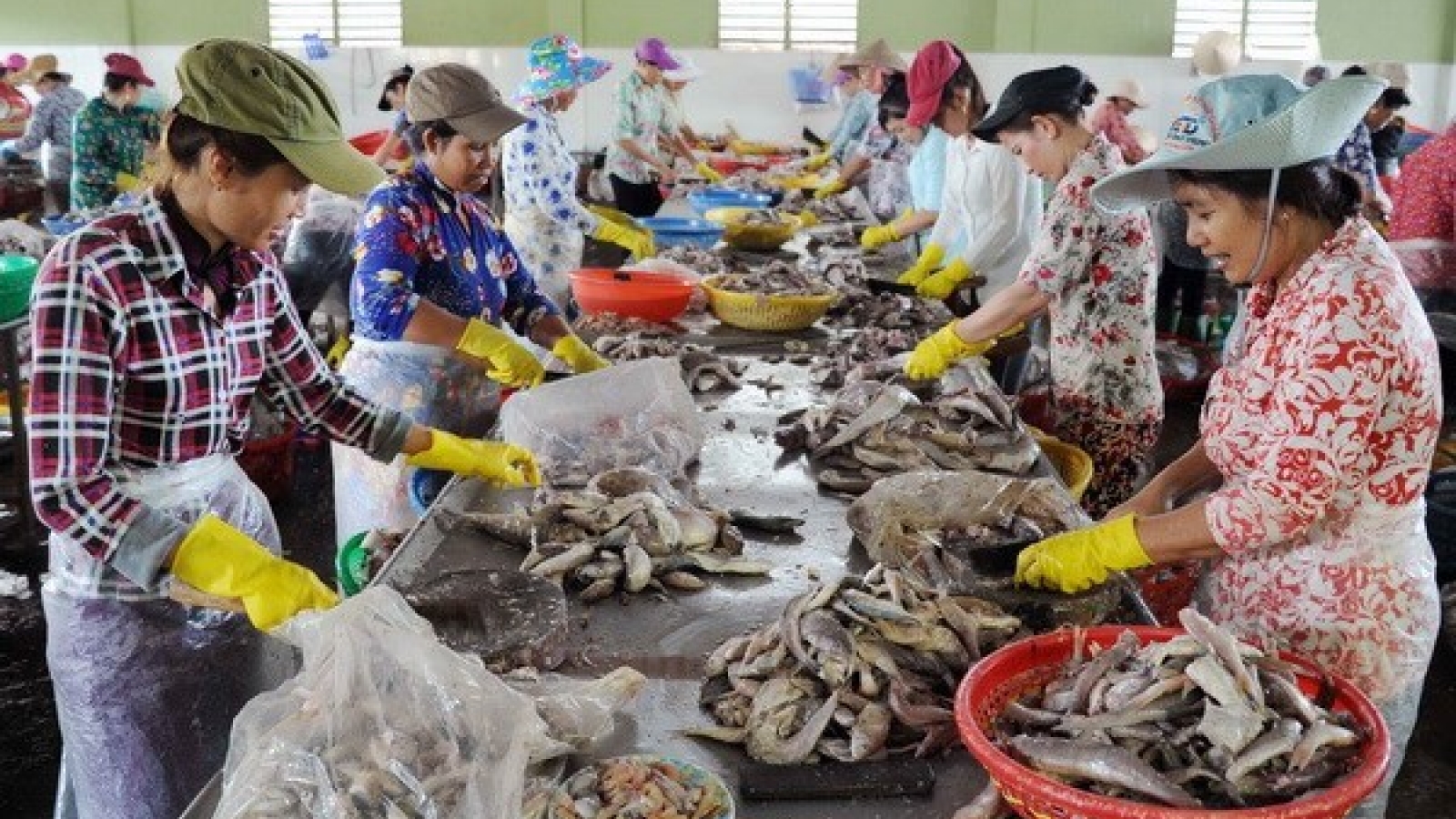 Canada continues support for SMEs’ development in Tra Vinh
