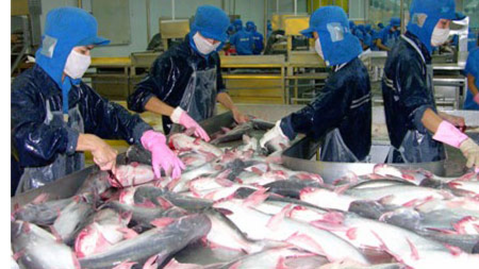 Vietnam enjoys trade surplus with Canada