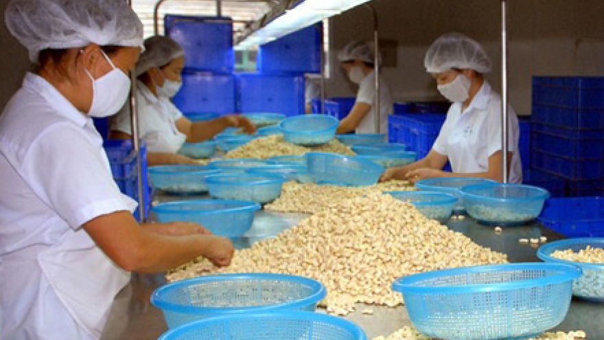 HCM City to hold int'l cashew conference
