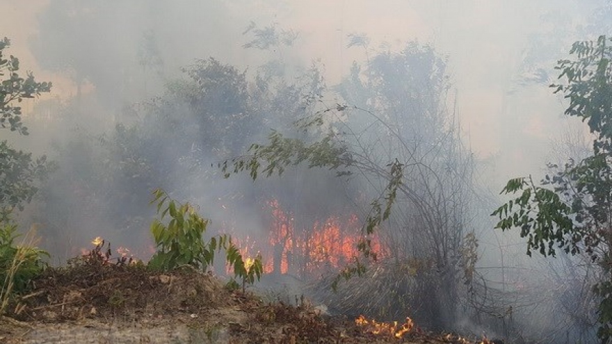 Central Highlands region works to prevent forest fire in dry season