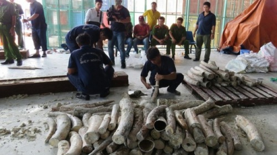 Vietnam seizes third illegal ivory shipment in a month