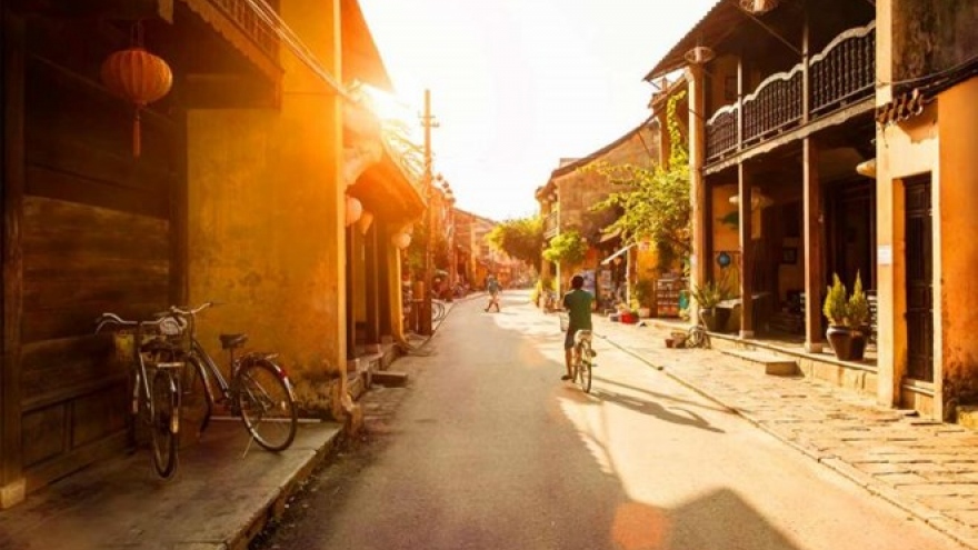 Cherry blossom viewing festival opens in Hoi An city