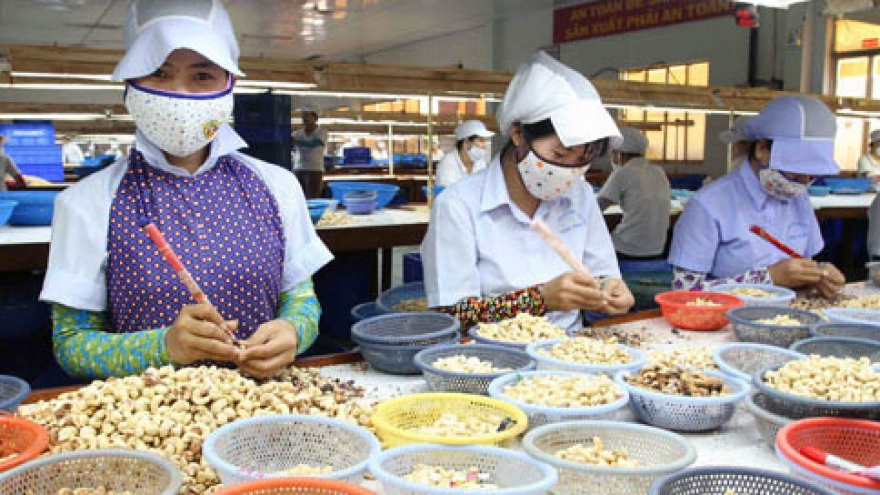 Chile introduces market potential in Vietnam