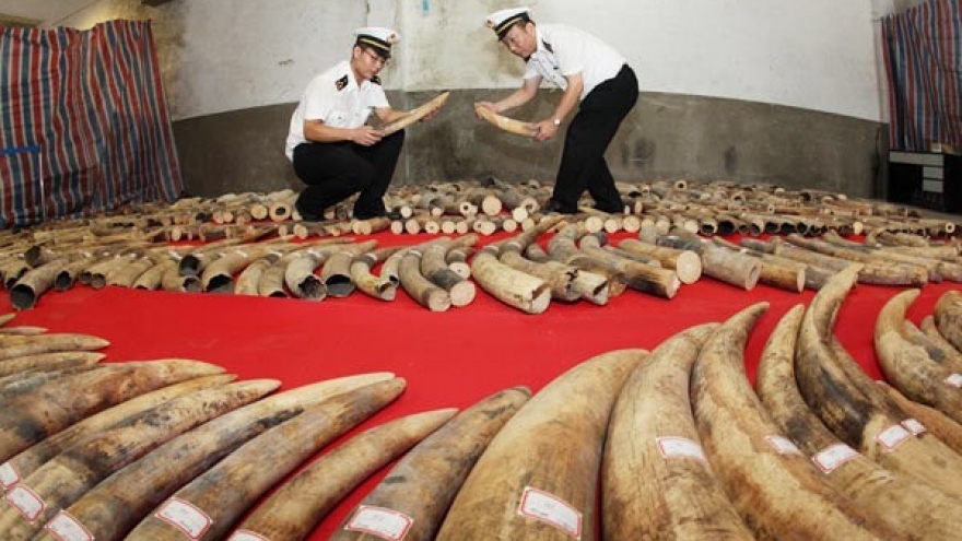 China police seize ivory smuggled via Vietnam border