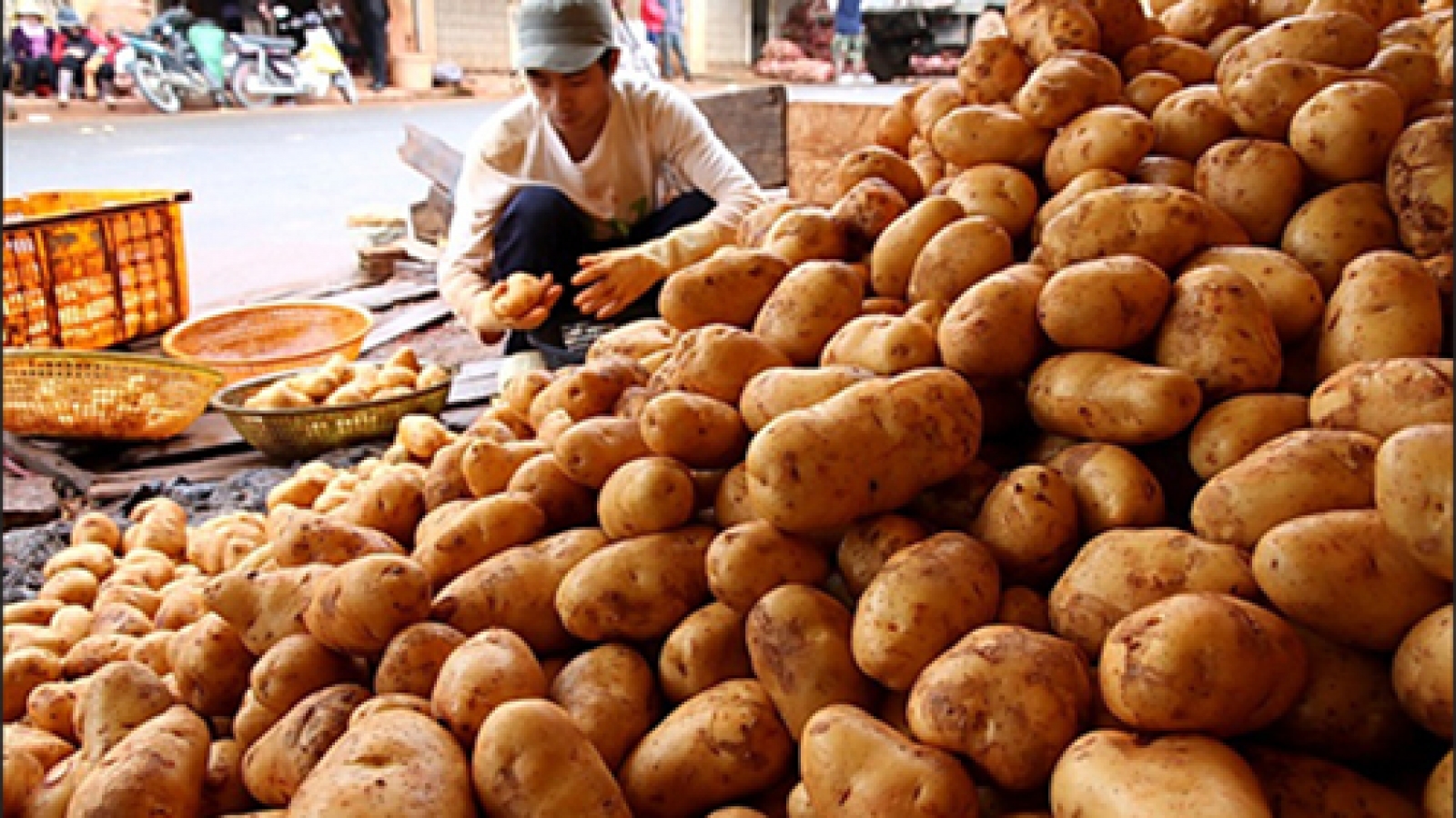 Chinese farm produce floods Vietnam market