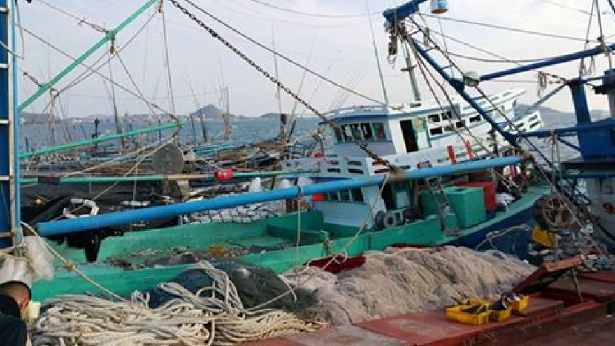 Thai authorities seize Vietnamese vessels, 48 fishermen 
