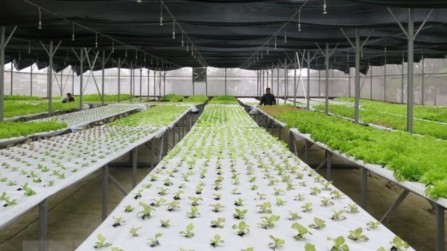 
        Climate-smart agriculture key to economic growth
                              