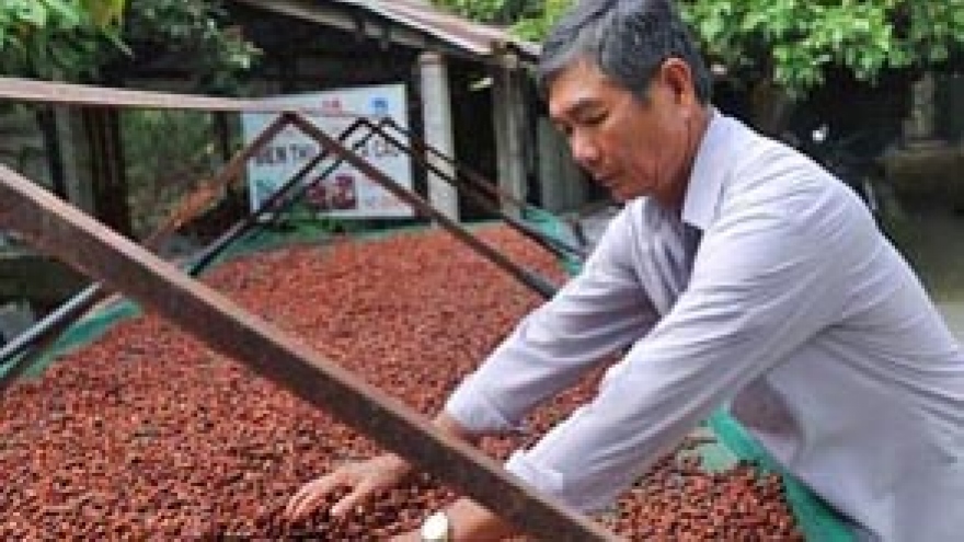 Cocoa farmers say things could be better