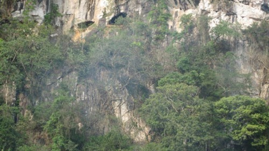 Con Moong Cave certified as special national relic site