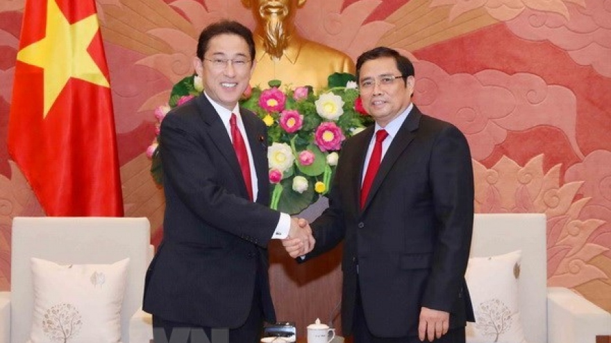 Party official: CPV-LDP cooperation crucial to Vietnam-Japan ties