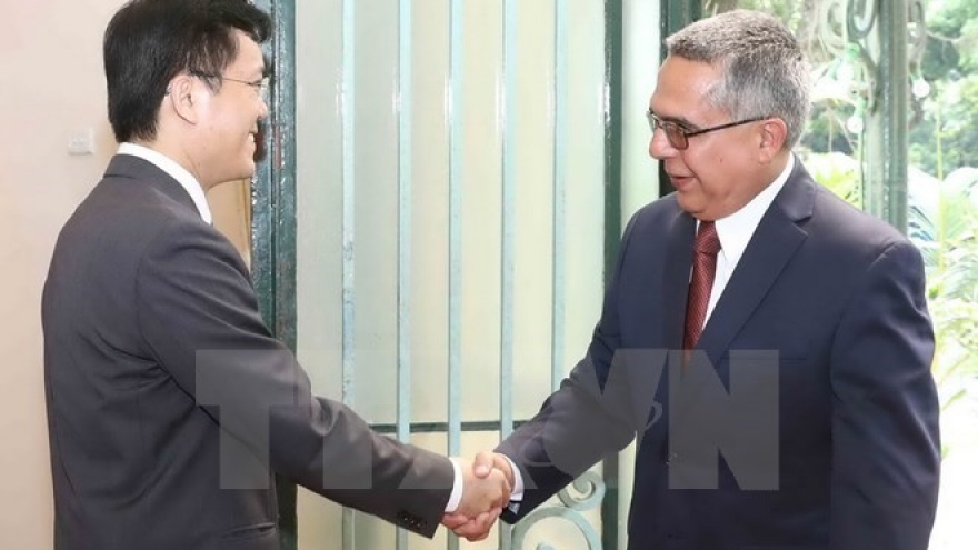 Vietnam, Cuba hold fourth political consultation in Hanoi