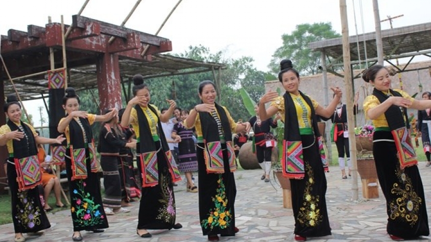 Cultural activities in November highlight great national unity