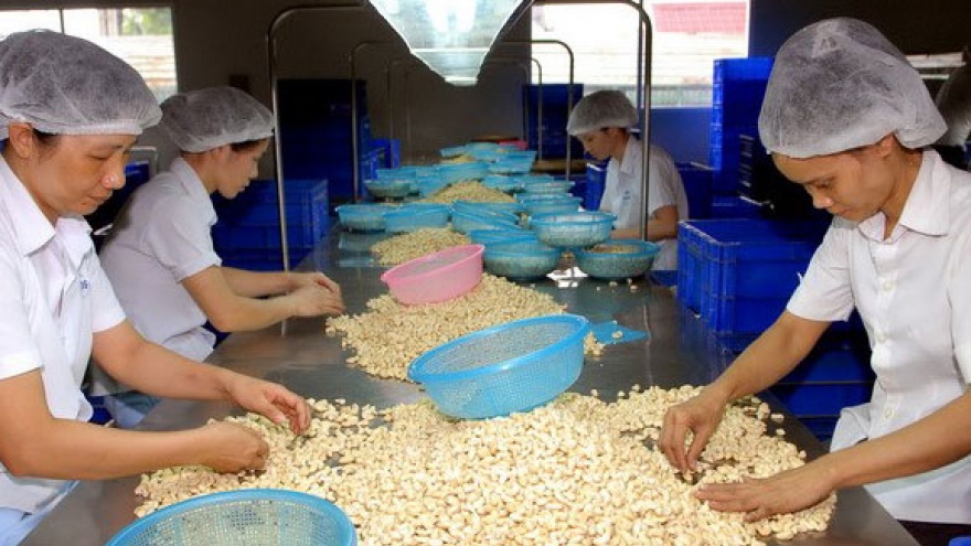 Vietnam, Cyprus vow to promote economic bond