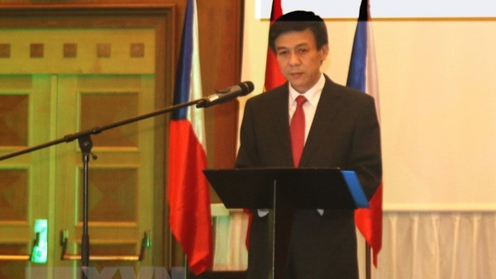 Vietnamese, Czech localities step up cooperation
