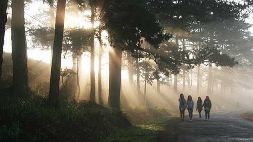 Dawn on Da Lat’s outskirts