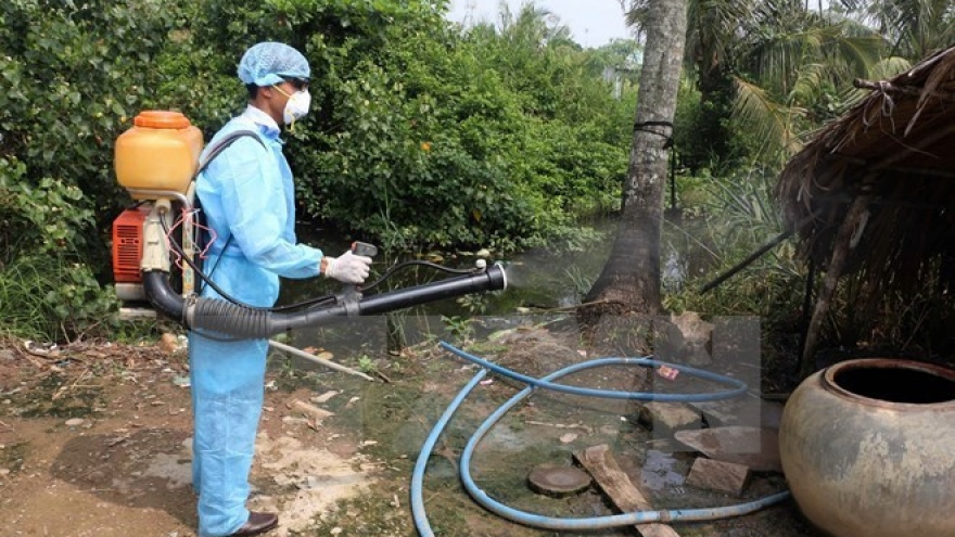 Health Ministry’s team inspects dengue fever prevention in Da Nang