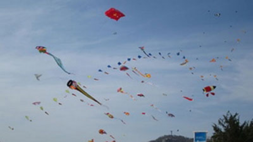 Ba Ria-Vung Tau hosts kite flying competition 