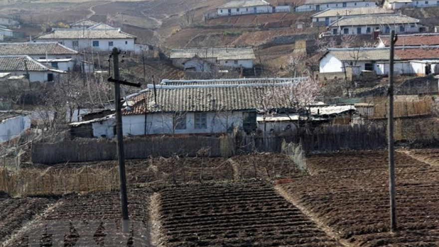 Vietnam helps DPRK natural disaster victims with 5,000 tons of rice