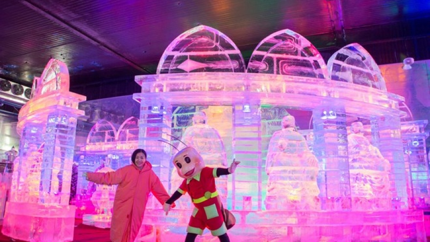 HCM City: Ice sculpture exhibition opens at Dam Sen Park