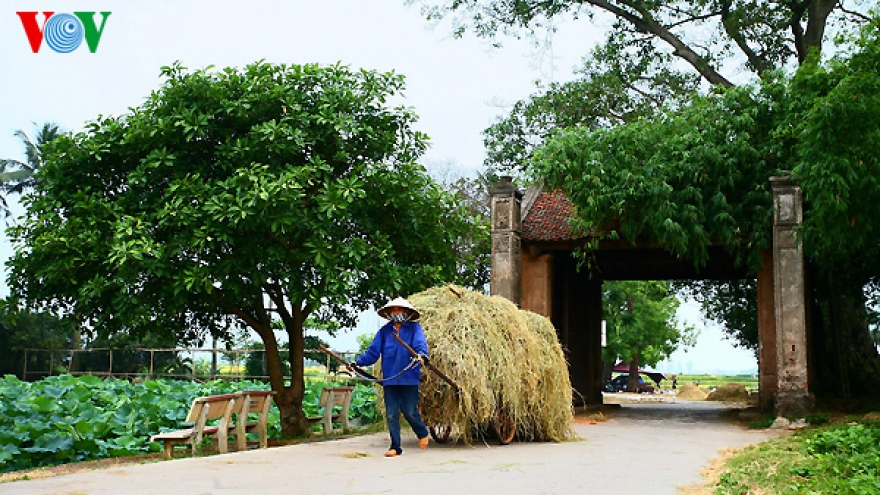 Sustainable homestay tourism taking shape